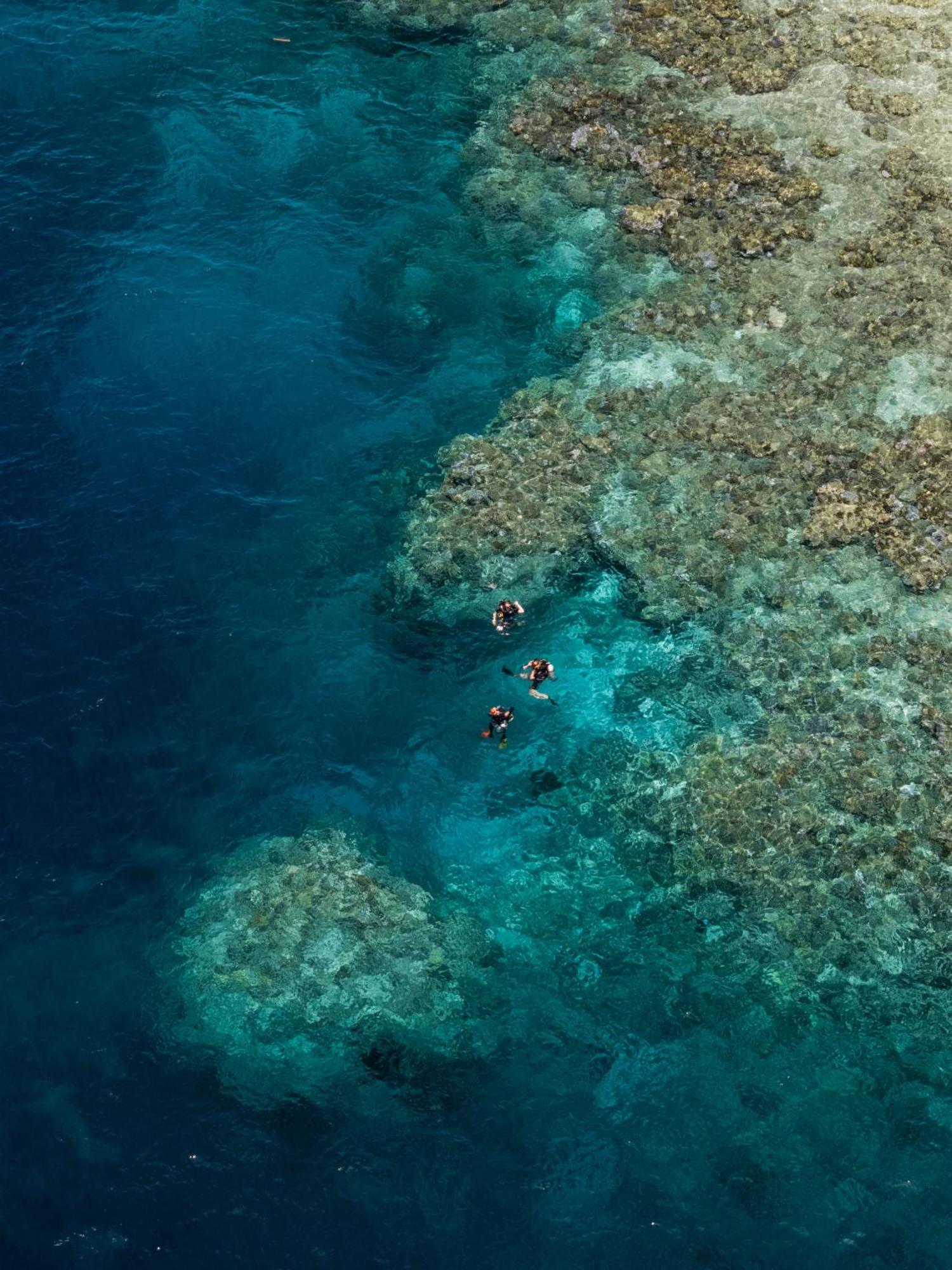 Reconnect - Private Island Resort & Dive Center Togean - Buka Buka Island Ampana Kültér fotó